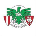 DJK Ammerthal