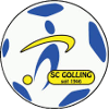 SC Golling